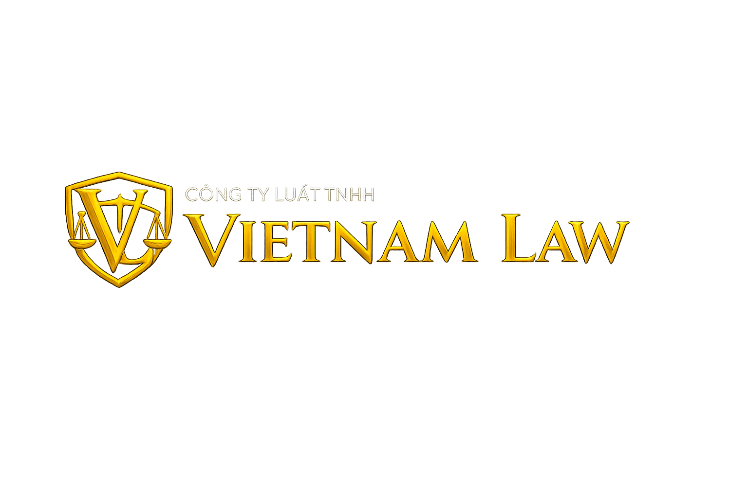 VietNam LAW